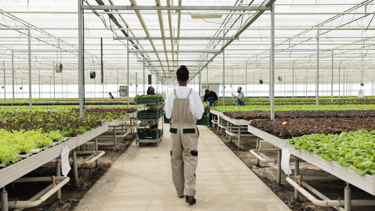 Goals and Objectives Vaal SEZ Special Economic Zone Goals of Vaal SEZ